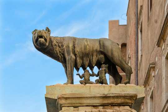 wolf of romulo and remo. wolf romulus and rowing in Rome, uploaded to a stone column in the middle of a square.