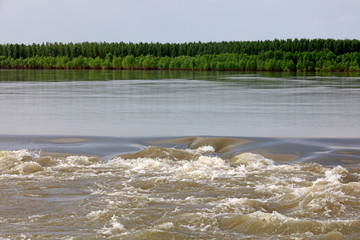 swift river in nature
