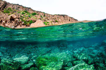 Coral reef scenics of the Sea of Cortez. Cabo Pulmo National Park, Baja California Sur, Mexico. ...