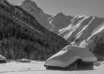 Black and White Winter Inspiration in the Mountains