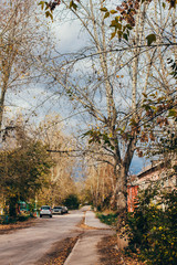 Obraz premium Urban environment