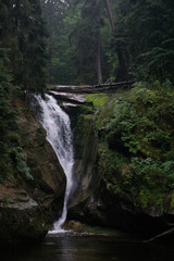Fototapeta na wymiar waterfall in the middle of forest, fallen trees, raining. Karkonosze, Poland