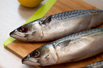 fresh fish on a cutting board