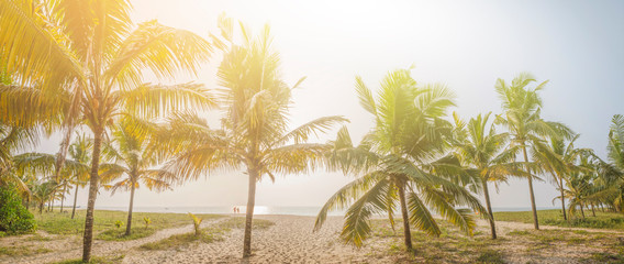 Fototapeta na wymiar Palm trees against blue sky Palm tree at tropical coast vintage toned and stylized coconut tree