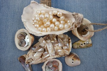 Decorative composition with sea shells, mother of pearl buttons and pearl beads on the background...