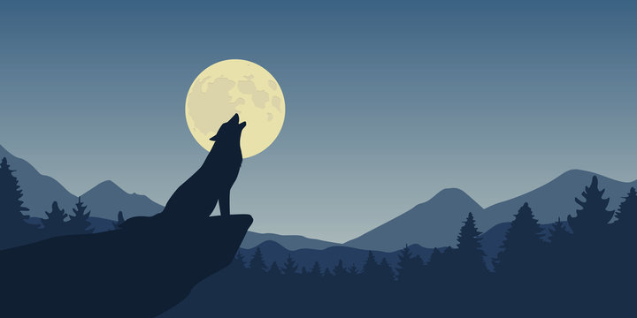 wolf howls at full moon blue nature landscape vector illustration EPS10