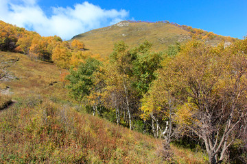 mountain natural scenery