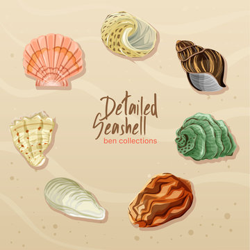 Detailed Seashell Collection