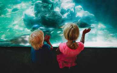 little girls watching fishes in aquarium, kids learn water animals