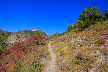 Naklejka premium Natural scenery