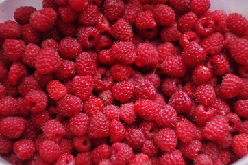 Pink raspberry close up. Fresh and healthy food with lots of vitamins