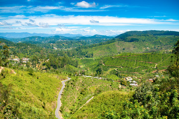 Obraz premium Forest and hills landscape with villages and roads