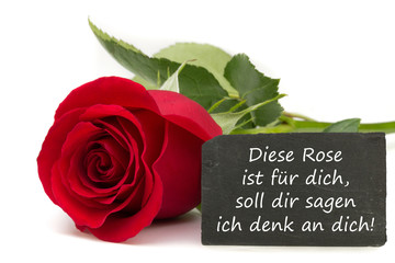 Diese Rose ist für dich...