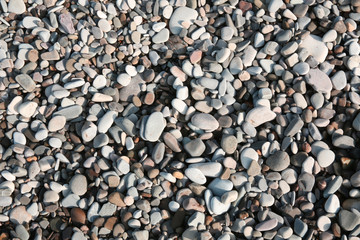 gray pebbles on the beach on the Black Sea