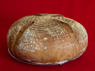 Bread loaf with cuts from spelt prepared in an electrooven on a red-green background.