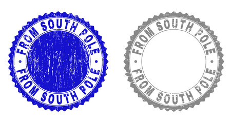 Grunge FROM SOUTH POLE stamp seals isolated on a white background. Rosette seals with grunge texture in blue and grey colors. Vector rubber watermark of FROM SOUTH POLE tag inside round rosette.