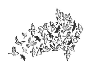 Birds flying in form of arrow symbol engraving vector illustration. Scratch board style imitation. Black and white hand drawn image.