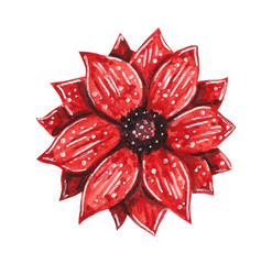 Hand drawn watercolor fashion illustration - flower Aster Daisy brooch in red color