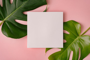 Monstera leaves on pastel coral background with paper card note. Minimal composition. Tropical flat lay.