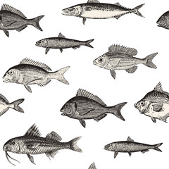 seamless fish pattern
