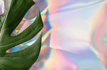 Iridescent background. Holographic Abstract soft pastel colors backdrop with monstera tropic leaf. Minimal concept.
