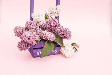 Lilac flowers bunch in a violet wooden basket over pink background.