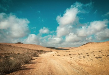 Panoramic view of Negev Desert, Israel. Arid landscape background