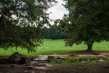Fototapeta premium Beautiful summer park with green trees, a stream and a path of stones. Landscaping. Park Milliken Arboretum, Spartanburg, South Carolina, USA