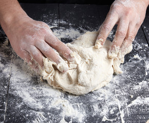 baker kneads white wheat flour dough