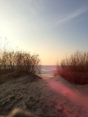 sea coast in the setting sun