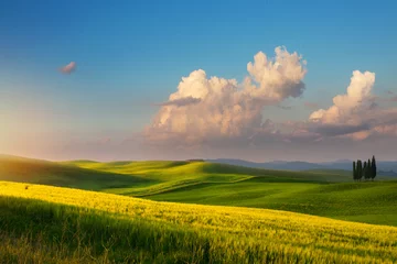 Foto op Plexiglas spring farmland and country road   tuscany countryside rolling hills © Konstiantyn