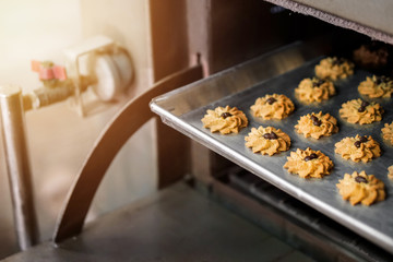Chocolate chip cookie with cashew nut  on a Tray in oven.