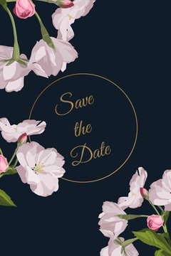 Invitation cards with beautiful spring charry blossom flowers and golden frame on dark blue background for your design.