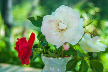 Розы в вазе.