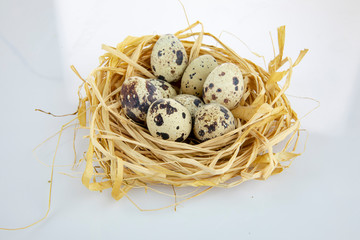 quail eggs in a nest isolated white background