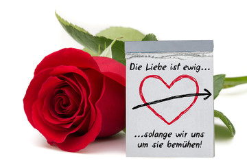 Die Liebe ist ewig... / rote Rose mit Kalender