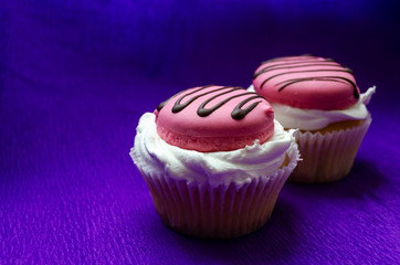 Many yummy cupcakes on white background