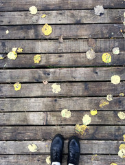 wooden path in the Park