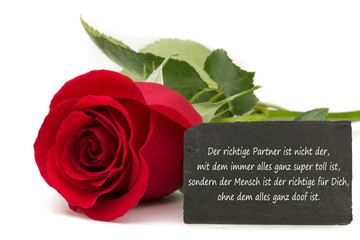 Rote Rose mit Schiefertafel / Der richtige Partner...