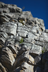 Rock wall in the mountains with a complex relief and layered structure, closeup. Tilt-Shift.