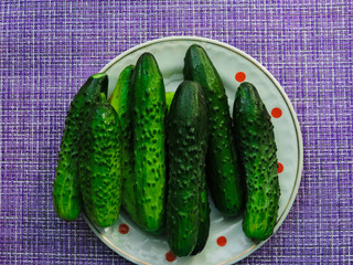 Cucumbers in a box. Copy space. Cucumber harvest. Many green cucumbers. Healthy Organic Green Cucumber pictures in basket. Cucumber background(harvest). Selective focus. Farmer's food.top view.