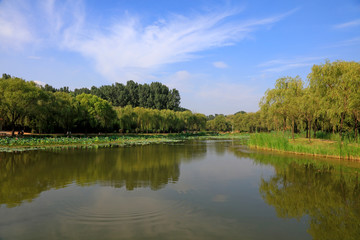 Fototapeta na wymiar pond natural scenery, China