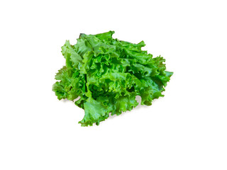 Green leafy vegetables. Salad isolated on a white background.