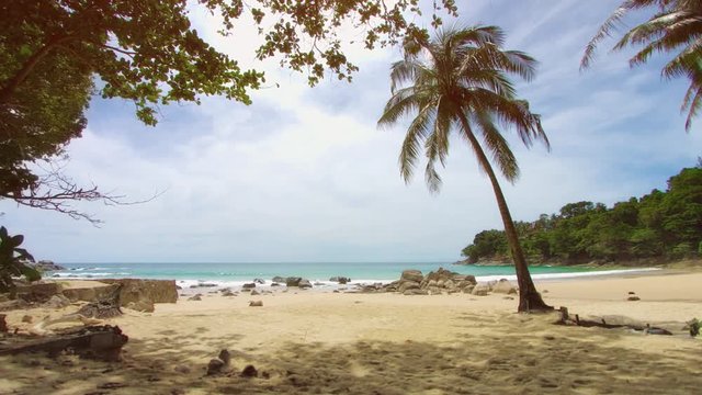 Palm tree on the shore of deserted tropical sea. Beach in non-tourist season