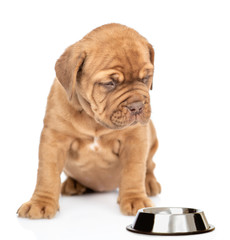 Obraz premium Puppy with empty bowl. isolated on white background