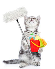 Cleaning concept. Tabby kitten holds bucket with washing fluids and mop in paw and looking up....