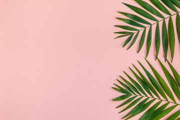 Fototapeta na wymiar Creative pink background with tropical palm leaves
