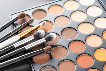 Eyeshadow palette and eyelid make up brushes collection