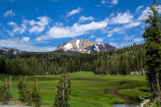 Mt Lassen and meadow