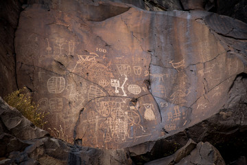 Ancient American Indian Coso Petroglyphs